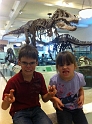 KIds-NYC_AMNH_3-2014_T-Rexs (3)